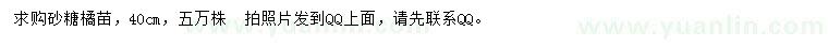 求購高40公分砂糖橘苗
