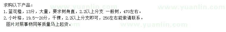求購藍花楹、小葉榕