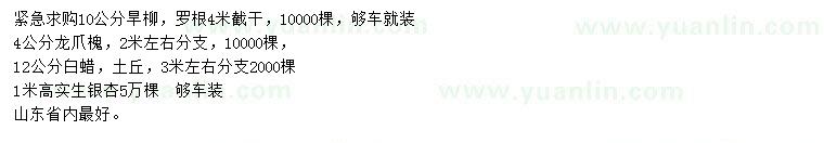求購旱柳、龍爪槐、白蠟等