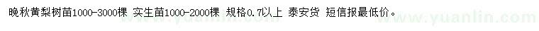 求購(gòu)?fù)砬稂S梨樹(shù)苗