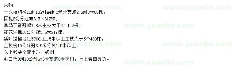 求購(gòu)千頭椿、國(guó)槐、暴馬丁香等