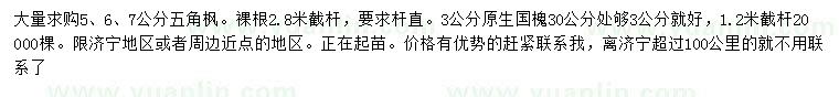 求購(gòu)5、6、7公分五角楓、3公分國(guó)槐