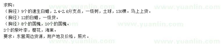 求購速生白蠟、國槐、紫葉李等