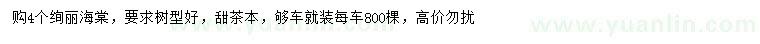 求購(gòu)4公分絢麗海棠