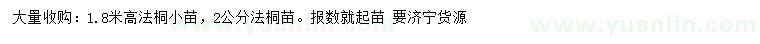 求購高1.8米法桐小苗、2公分法桐