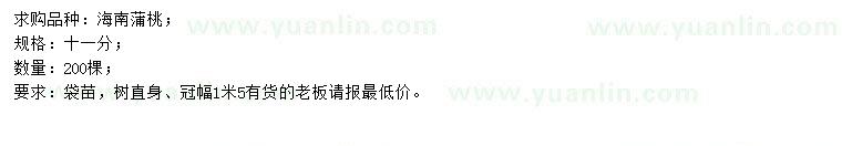 求購11公分海南蒲桃