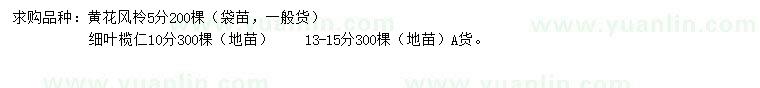 求購黃花風柃、細葉欖仁