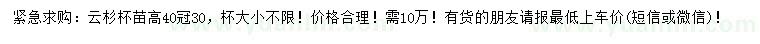 求購(gòu)高40公分云杉