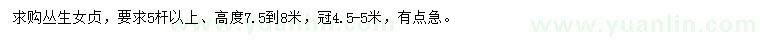 求購高度7.5-8米叢生女貞