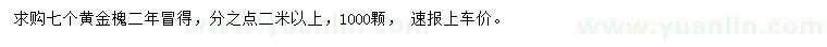 求購7公分黃金槐