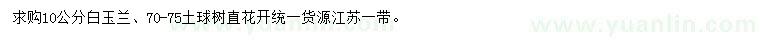 求購10公分白玉蘭