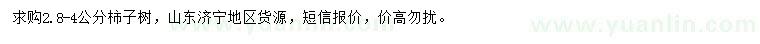 求購2.8-4公分柿子樹