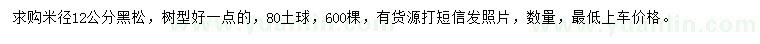 求購米徑12公分黑松