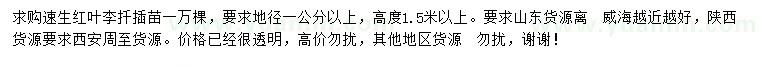 求購(gòu)地徑1公分以上速生紅葉李扦插苗