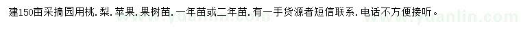 求購桃樹、梨樹、蘋果樹等