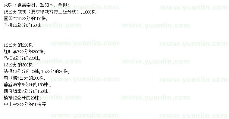求購急購欒樹、重陽木、垂柳等