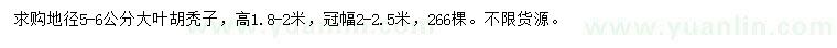 求購地徑5-6公分大葉胡禿子