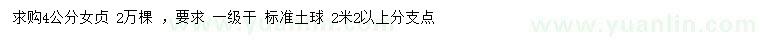 求購4公分女貞
