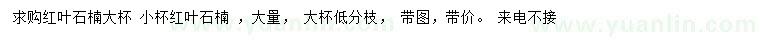 求購(gòu)紅葉石楠