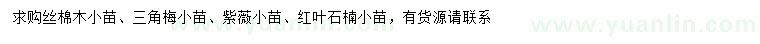 求購絲棉木小苗、三角梅小苗、紫薇小苗等