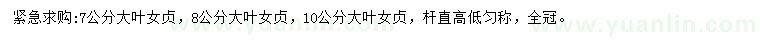 求購7、8、9公分大葉女貞