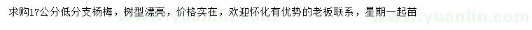 求購17公分楊梅樹(shù)