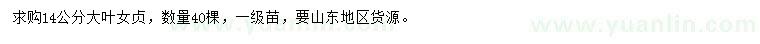 求購14公分大葉女貞