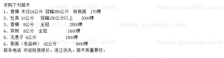 求購香樟、杜英、欒樹(shù)等