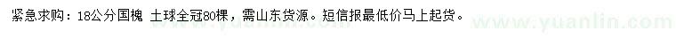 求購18公分國槐