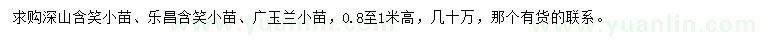 求購深山含笑小苗、樂昌含笑小苗、廣玉蘭小苗