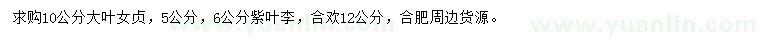 求購大葉女貞、紫葉李、合歡