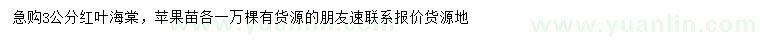 求購3公分紅葉海棠、蘋(píng)果苗
