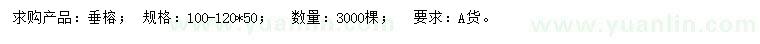 求購100-120公分垂榕