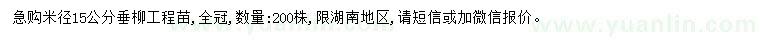 求購米徑15公分垂柳