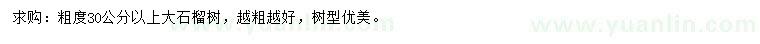 求購粗度30公分以上大石榴樹(shù)