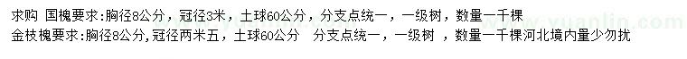 求購(gòu)胸徑8公分國(guó)槐、金枝槐
