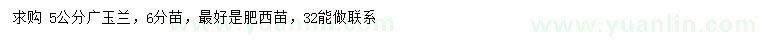 求購5公分廣玉蘭