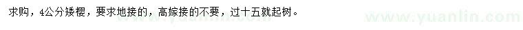 求購4公分矮櫻