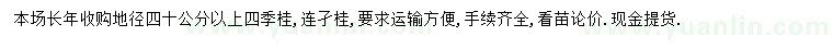 求購地徑40公分以上四季桂、連子桂