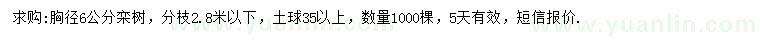求購胸徑6公分欒樹