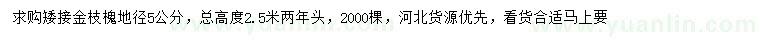 求購地徑5公分矮接金枝槐