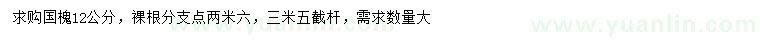 求購12公分國槐