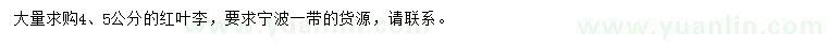 求購4、5公分紅葉李