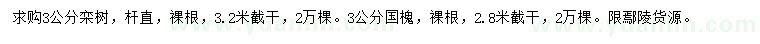 求購3公分欒樹(shù)、國槐