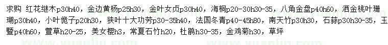 求購紅花繼木、金邊黃楊、金葉女貞等