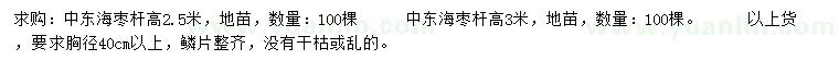 求購高2.5、3米中東海棗