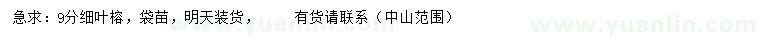 求購9公分細葉榕