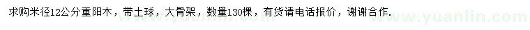 求購米徑12公分重陽(yáng)木 
