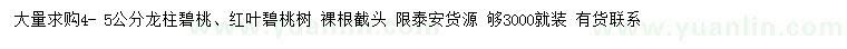 求購(gòu)4-5公分龍柱碧桃、紅葉碧桃樹(shù)