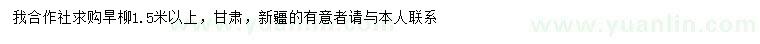 求購1.5米以上旱柳